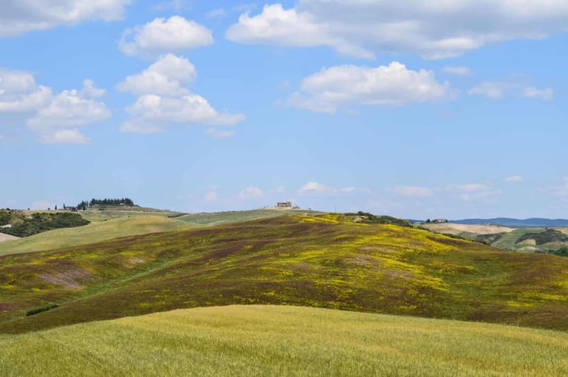 The rolling hills of the Tuscan countryside